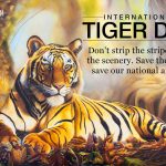 global-tiger-day