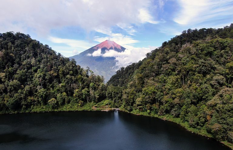 Indonesia Wildlife