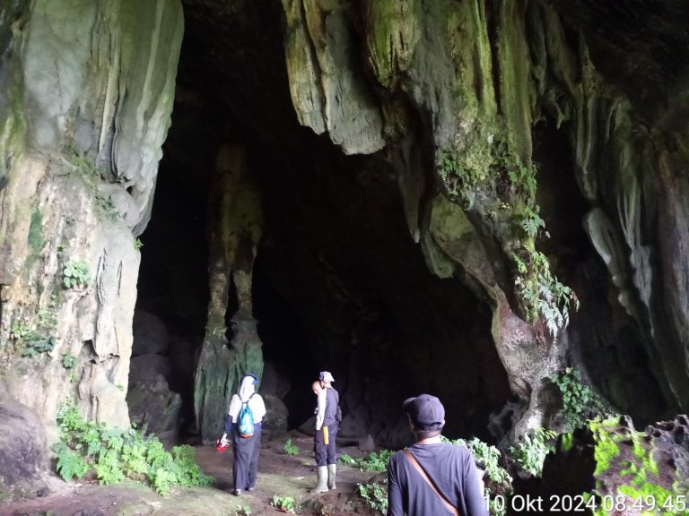Gua-Napal-Licin