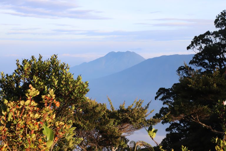 Gunung_Hulu_Nilo_dan_Gunung_Sumbing