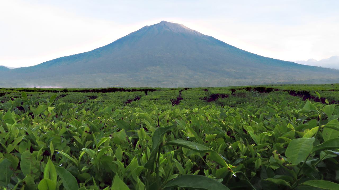 Gunung_Kerinci_01