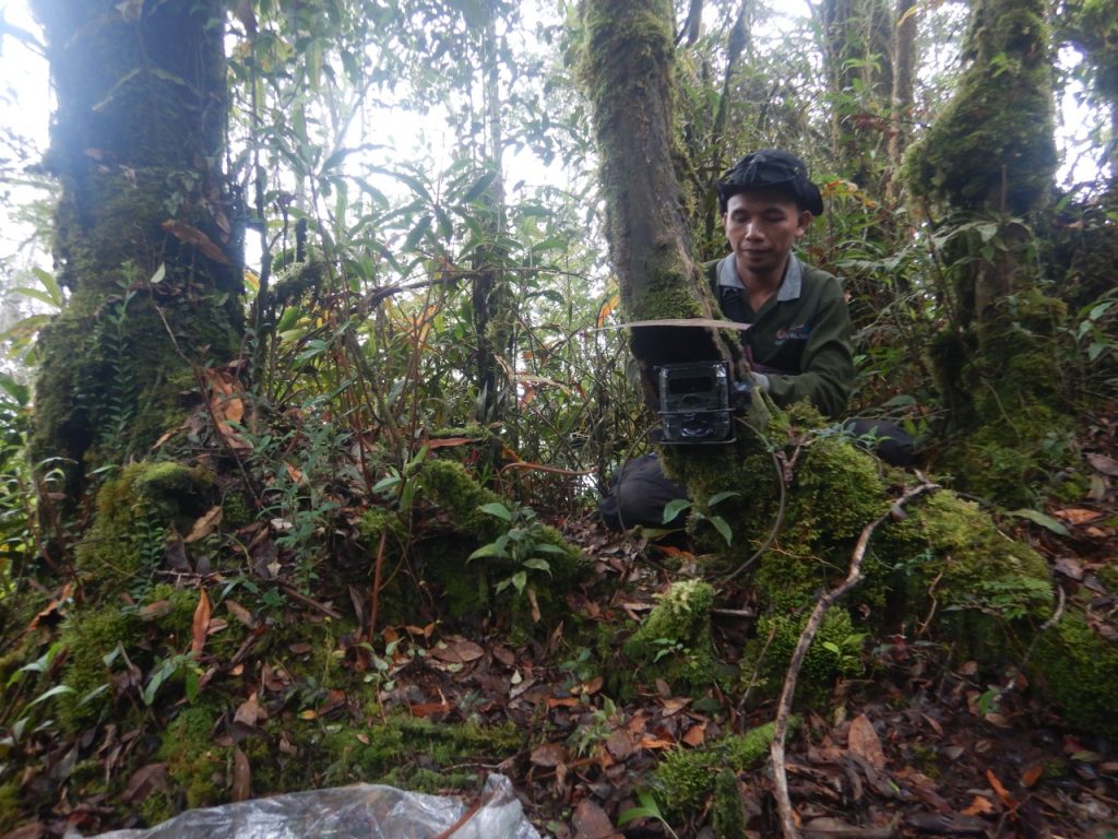 Pemasangan_Kamera_Penjebak